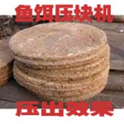 㑝əCе�~�D���K�C-�����m���������e�ʘ��ĺ�����