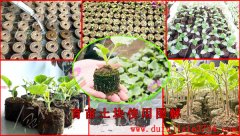 ����K��ʲô���ã����ʹ�ã�